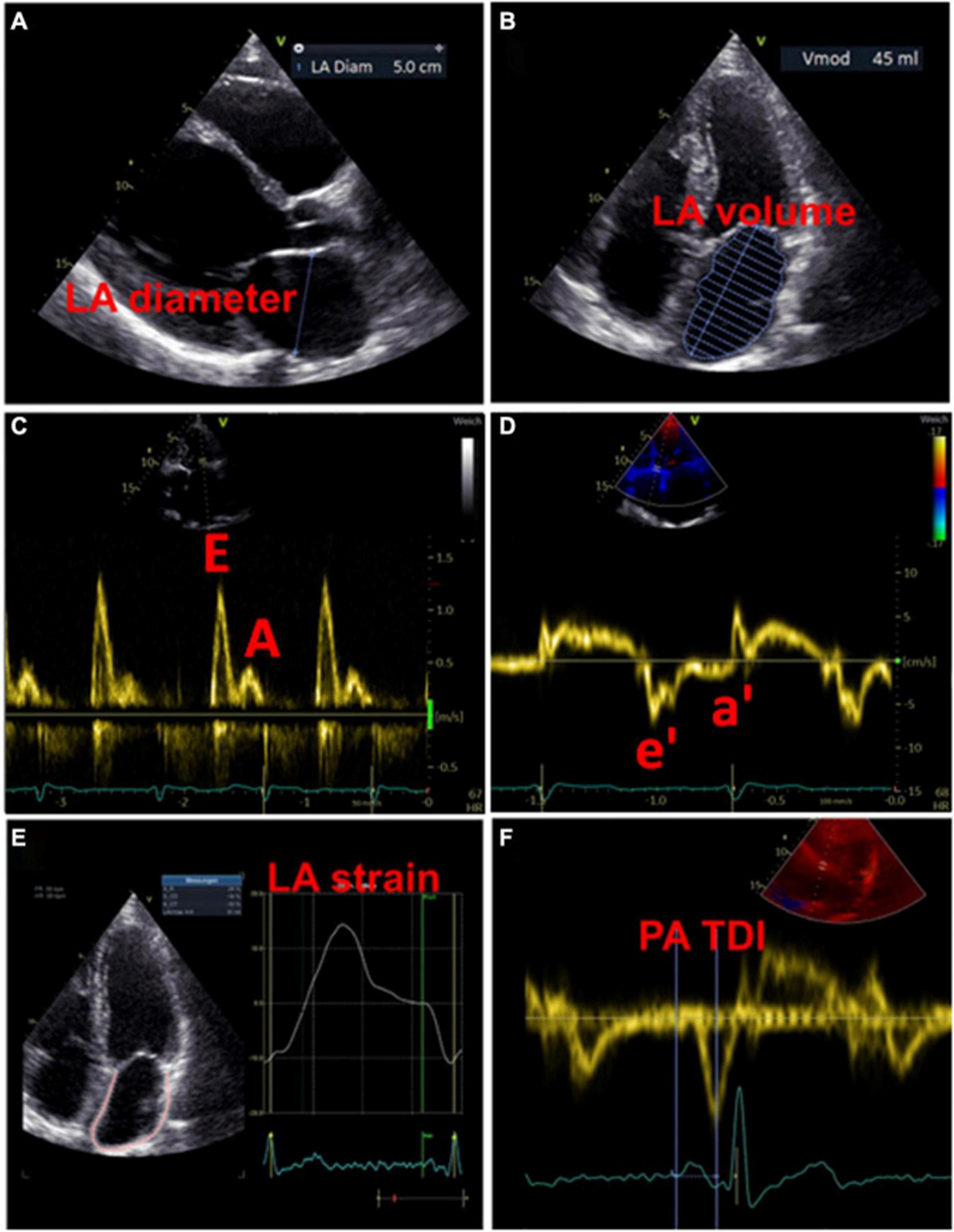 【佳学基因检测】微阵列基因评估分析CNGA2突变的结果可靠吗？
